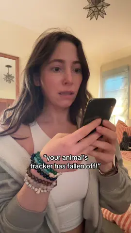 We know this news can be tough, so let’s talk about it!  Animal trackers may stop sending signals for a variety of reasons—sometimes the battery runs out, biofouling occurs, the tracker falls off, or the animal simply moves beyond the monitoring range. The good news? Every bit of data collected makes a HUGE impact in conservation.  And don’t worry—we guarantee 6 months of tracking, so if you ever need help, we’ve got your back at support@myfahlo.com 💌 #Fahlo #AnimalTracking #WildlifeConservation #ProtectWildlife #EcoTok  