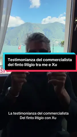 La testimonianza del commercialista del contratto tra me e Xu 🇨🇭