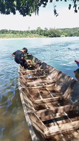 Anak anak kreatif .. tugas nya buat sapu lidi darin pelepah sawit.... daun sawit yg habis dipanen..  #desa #alam #sawit #viral #sungai 