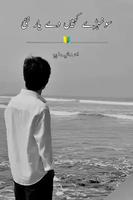 سونہڑے کہیں دے یار نئی ❤️🙌 #slowandreverb #sohailahmadani 