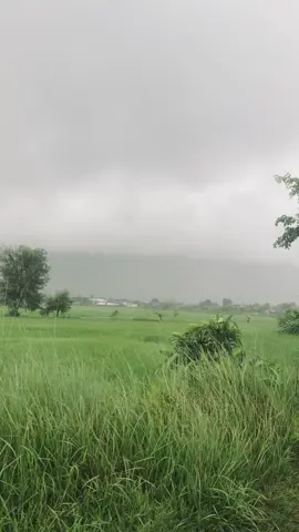 #Nature❤️