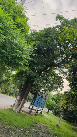 Spider-Man ❌fruit man✅ #foryou #foryoupage #unfrezzmyaccount #viralvideo #lahori_spiderman 