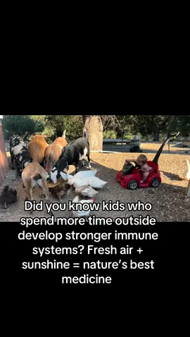 Farm baby > iPad baby 🌻🐐 #FarmLife #CountryKids #farmtok #MomsofTikTok 