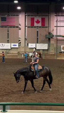 I’m gonna try to clear a draft a day 🤞🏼 This was from our first show this year! #aqha #psushadedinblue #shinyhorse #horsemanship #horseshow 