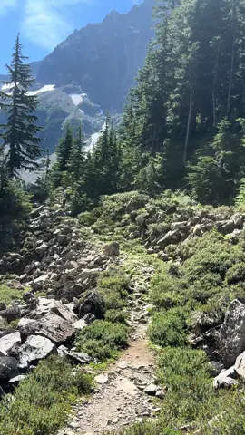 Avoid this trail #washington #pnw #hikersoftiktok #Outdoors #adventure 