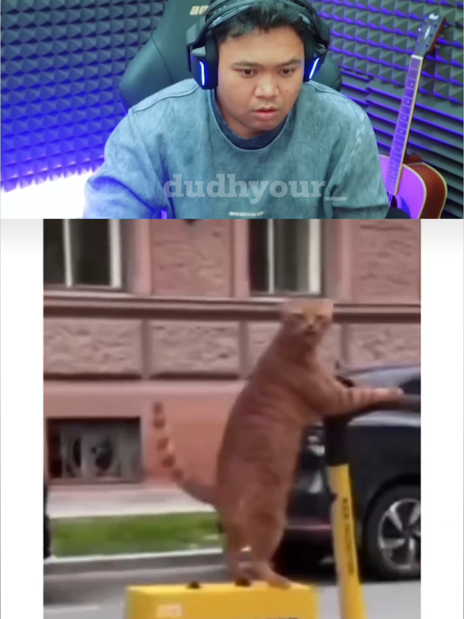 🐱: Apenihh main hp di tengah jalan #meme #yourdudh #yourdudhreaction #xybca #lomba17agustus 