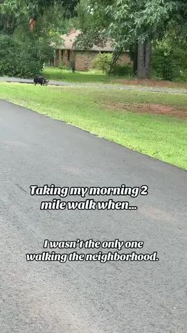 Listen.. you know where I haven’t EVER been attacked by a pig?! IN MY HOUSE 😂  but DAMN I’m trying to get my steps in 