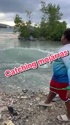 Just a kid with a passion for fishing 🐠. Hooked on life, one cast at a time 🎣. Chasing tides and tight lines 🌊. Future fishing legend in the making🙏🏾. #niñopescador #videosdepesca #fishingvideos #kidsfishing #castnetfishing 