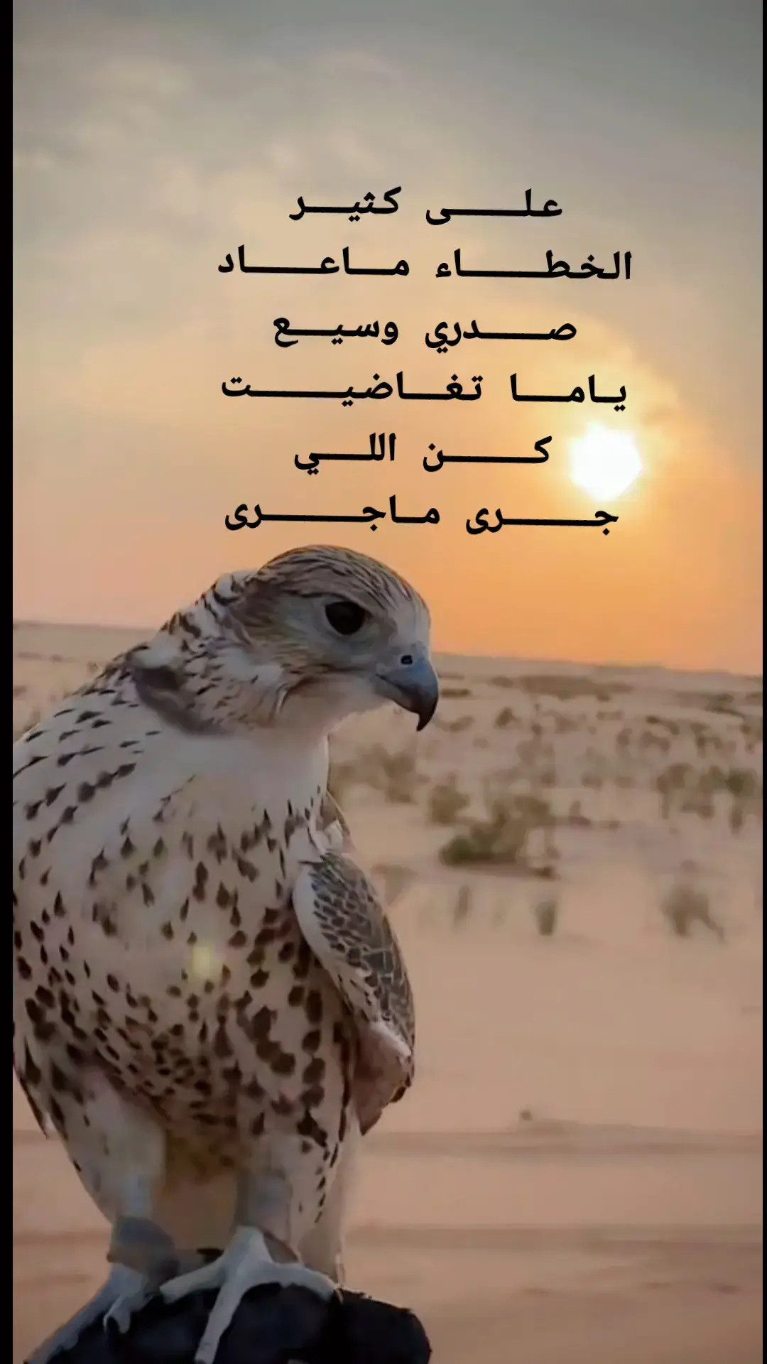 #اكسبلورexplore #اكسبلور 