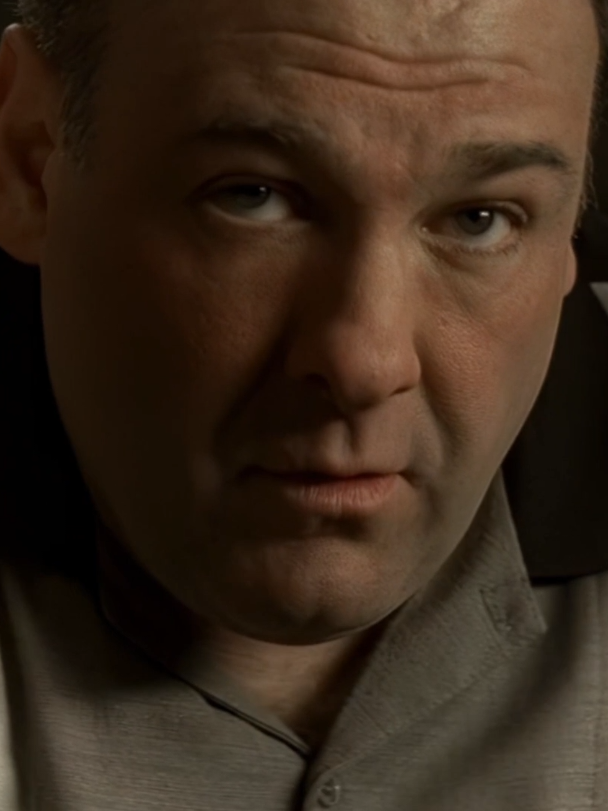 Made In America 😢 #sopranostok #sopranos #tonysoprano #pauliewalnuts #christophermoltisanti 