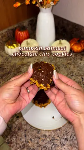 5 ingredient HEALTHY COOKIES!!🍁🍂 RECIPE: 🍂2.5 cups rolled or quick oats 🍂 1 cup pure pumpkin puree 🍂3 TBSP honey or maple syrup  🍂2 tsp pumpkin pie spice or cinnamon (measure with your heart) 🍂1/2 cup chocolate chips @lilys_sweets is my favorite!! 🍂pinch of salt! 350 degree oven for 10 minutes!!! I melted some chocolate and spread it on top and it was PERFECT!!🤍🍂 Save this recipe and let me know if you give it a try!!🤍🤍 #fall #fallrecipes #pumpkinseason #pumpkincookies #healthyrecipes 