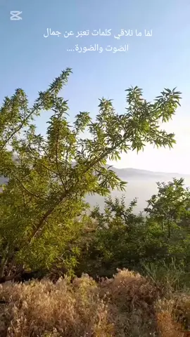 Who needs AI effects when we are surrounded by the beauty,the light and the colors of nature...#Lebanon #Landscapes #NatureLovers #طبيعة #لبنان 