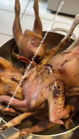 #poul #haitiantiktok #poultry 