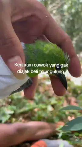 #telurgulung #foryou  #fyp #4youpage #storiwhatsapp 