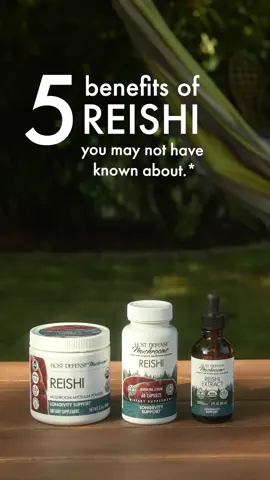 Seeking balance in a stressful world? Reishi (Ganoderma lucidum s.l.) is often used to support a calm and relaxed body and mind and a healthy response to everyday stress factors.* Often referred to as the 
