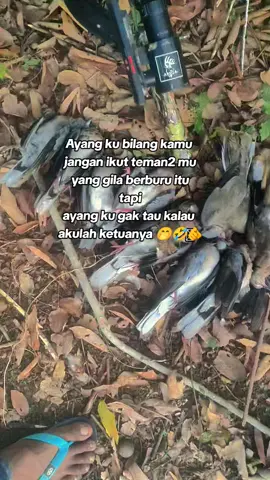 anjay #xybca #PecanduHunting🇮🇩 #hunting #masukberanda 