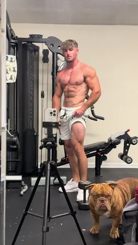 Bentley is like dad make it stop #fypage #aesthetics 