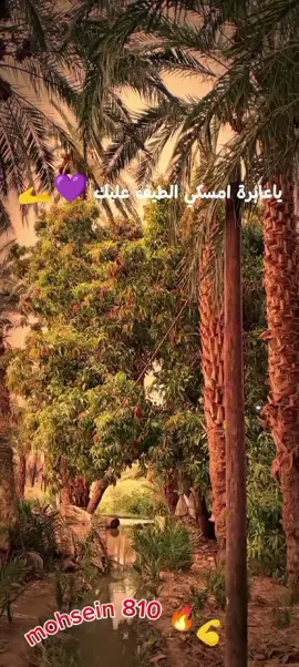 عابرة 36#غيمه #عبد_القيوم_الشريف #الطمبور_صديقنا_وعزنا_وملجأنا🎶🎼 #السودان #الولايه_الشماليه🌴💚 