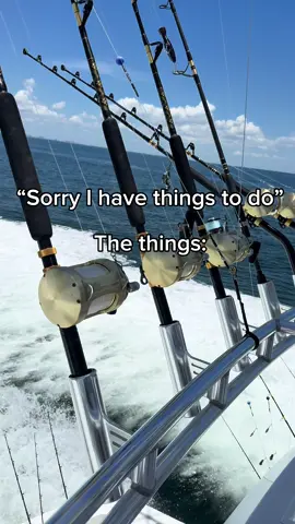 Busy, don’t text! #fishing #oldrow #boatlife #shark #fyp