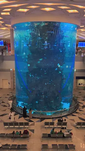 Aquarium at King Abdulaziz Airport 🛫,  Jeddah,  Saudi Arabia 🇸🇦  #saudiarabia🇸🇦 #jeddah #airport #fish #aquarium 