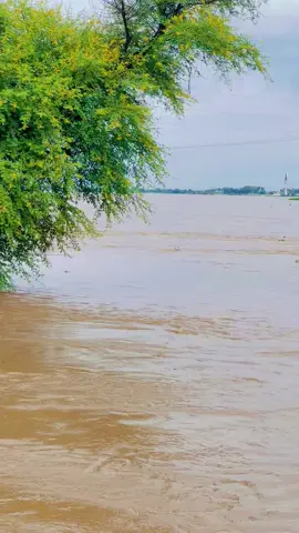 #punjabisong #satluj_river #bahawalnagar 