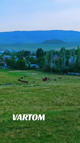 Coğrafyamızda önemli bir sese sahip olan Şakiro Allah rahmet eylesin mekanı cennet olsun....#vartodansonbilgiler 