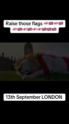 Raise those flags 🏴󠁧󠁢󠁥󠁮󠁧󠁿🇬🇧 September 13th London #fy #fyp #raisetheflags #london #unitedkingdom 
