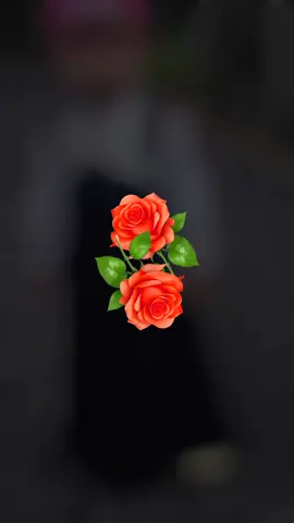 #greenscreen