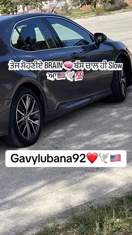 #karanaujla_official 🕊️❤️🇺🇸🇺🇸🇺🇸🇺🇸#gavylubanausa #viralvideo #share #wmk🙏 🙏❤️❤️🇺🇸🇺🇸🇺🇸🇺🇸🕊️🕊️🕊️