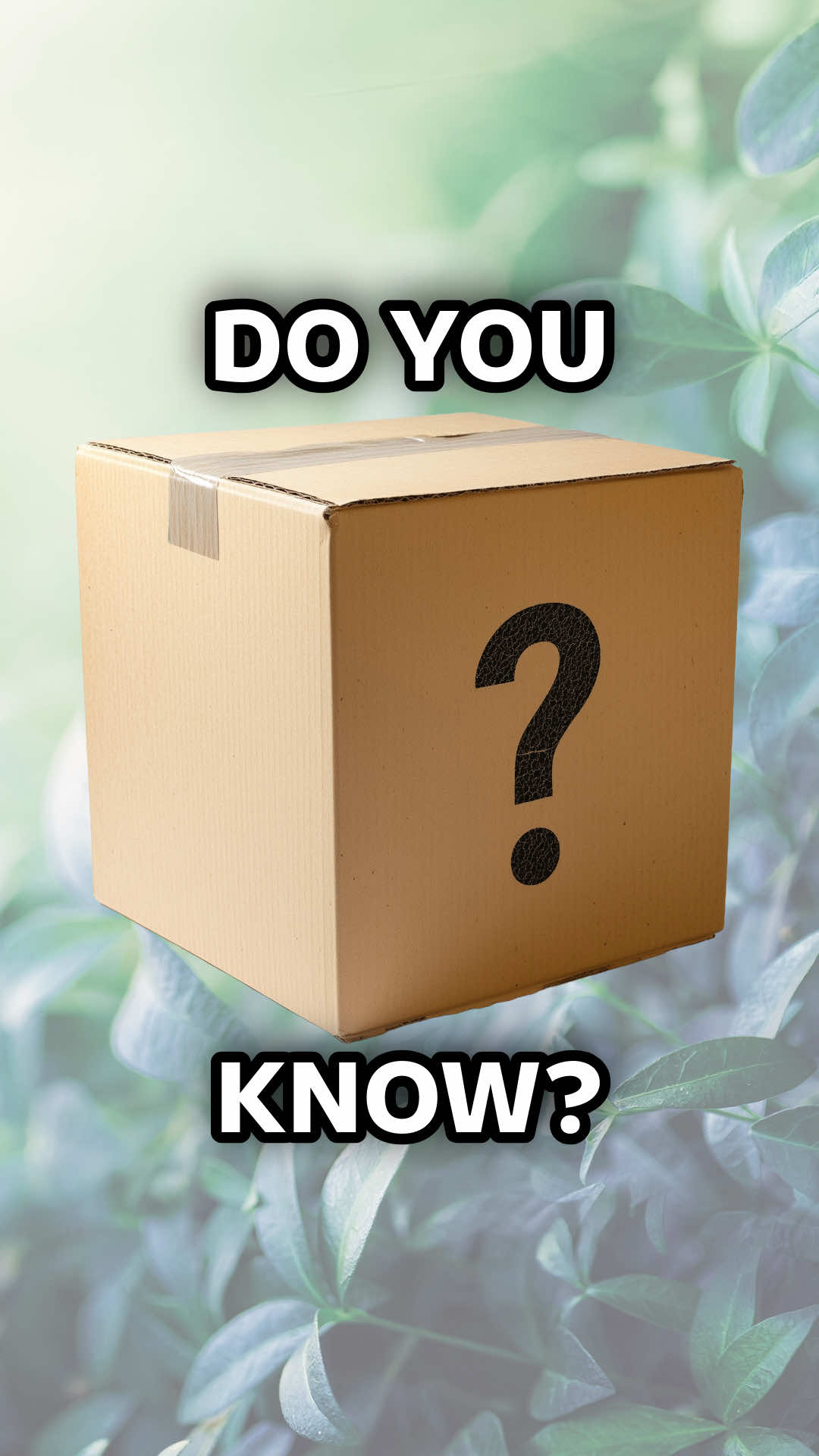 What herbal treasure is hiding behind the blur? Any guesses? Drop your thoughts below!#GuessTheHerb #WhatAmI #BlessedBotanicals #HerbalMystery #SneakPeek 