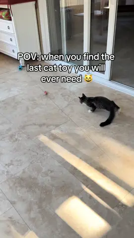 Cat parents, meet your next best find 🐾 The toy that keeps them happy (and you entertained). #tiktokmademebuyit #interactivecattoy #petmusthaves #catsoftiktok #fyp  