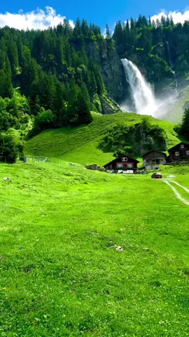 The beauty of nature in Switzerland 🇨🇭 