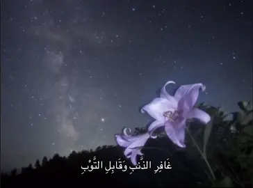 #المنشاوي #quran #اكسبلورexplore #fyp #المنشاوي_قرآن 