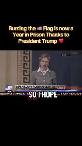 What are your thoughts on jail for burning the 🇺🇸