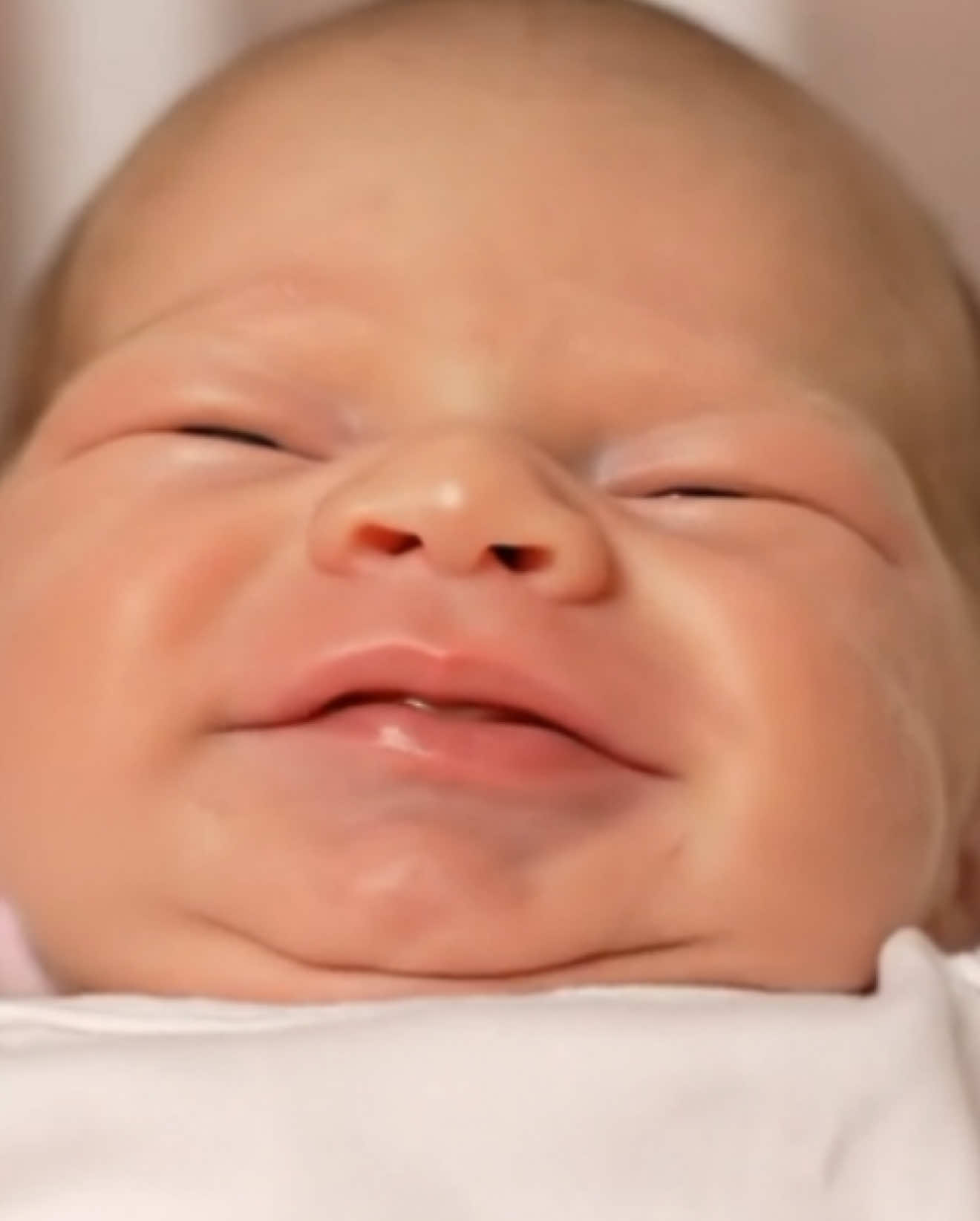 Pue nimodo otro político ojalá sea el bueno. Ai bebe político, ai bebe chistoso, ai bebe comediante #parati #bebe #viral #trending #fyp 