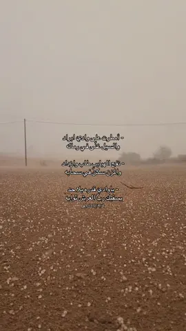 #marib #foy #xplore 