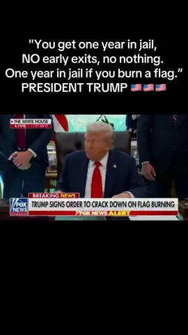 End all flag burning in America!🇺🇸🇺🇸🇺🇸