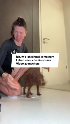 Ich bleibe lieber bei meinem Blödsinn 🤝🏻 #fyp #dogmom 