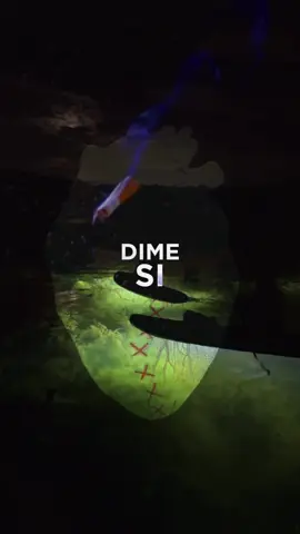 Dime si #musicanueva #nuevamusica #indie