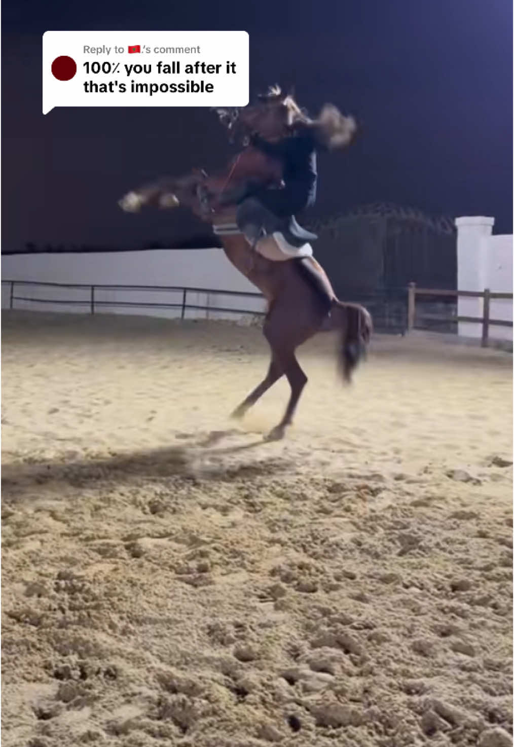 Replying to @🇲🇦. #ridewithmalak #خيل_وخياله🐎 #خيل_عربي_اصيل #ridewithmalakacademy #showjumping #mahmoudsridingjourney 