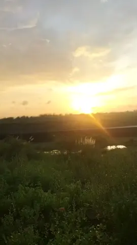 প্রকৃতি 🍂🥰