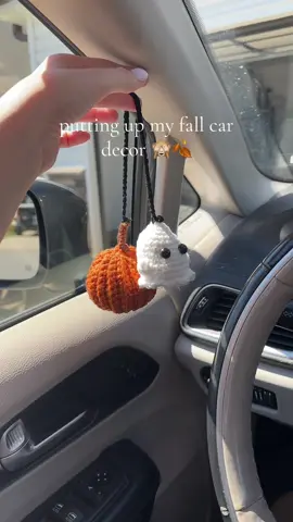 my sister made this one for me but I 🔗 a similar one because it’s perfect😍🎃👻 #spookyseason #halloweendecor #cardecor #fallvibes #tiktokshopcreatorpicks 