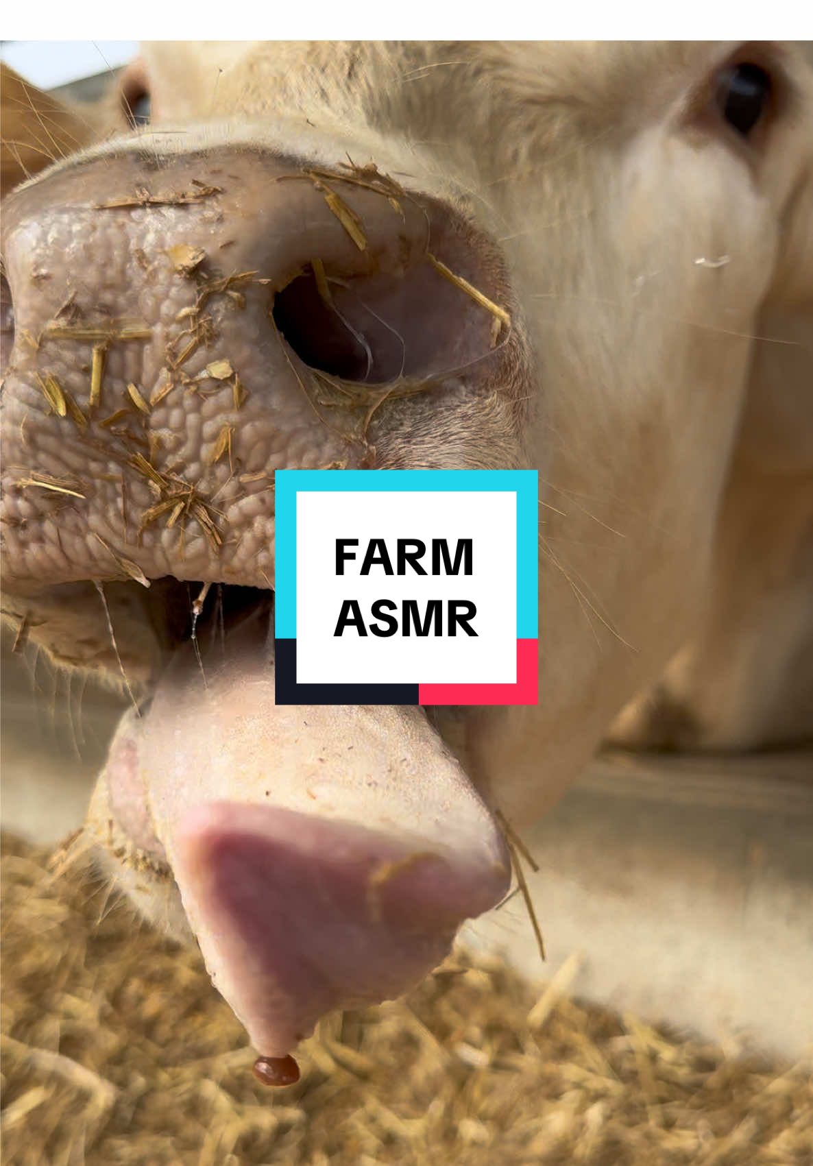 #ASMR #ASMRVIDEO #farmanimals  #farmanimalasmr