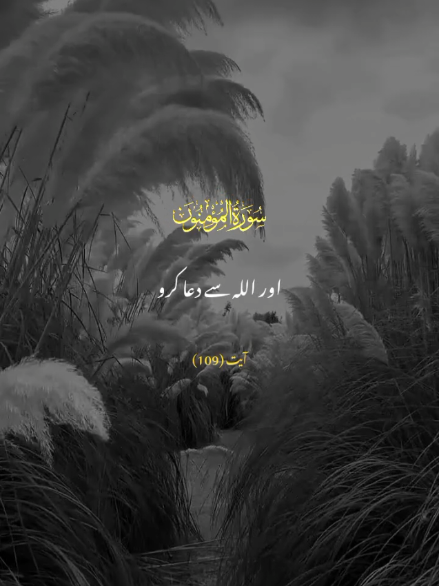 SURAH AL-MU,MINUN  VERSE 109 #falaah09 #tarjuma #urdutarjuma #duniyaaefaanii #quranvideo 