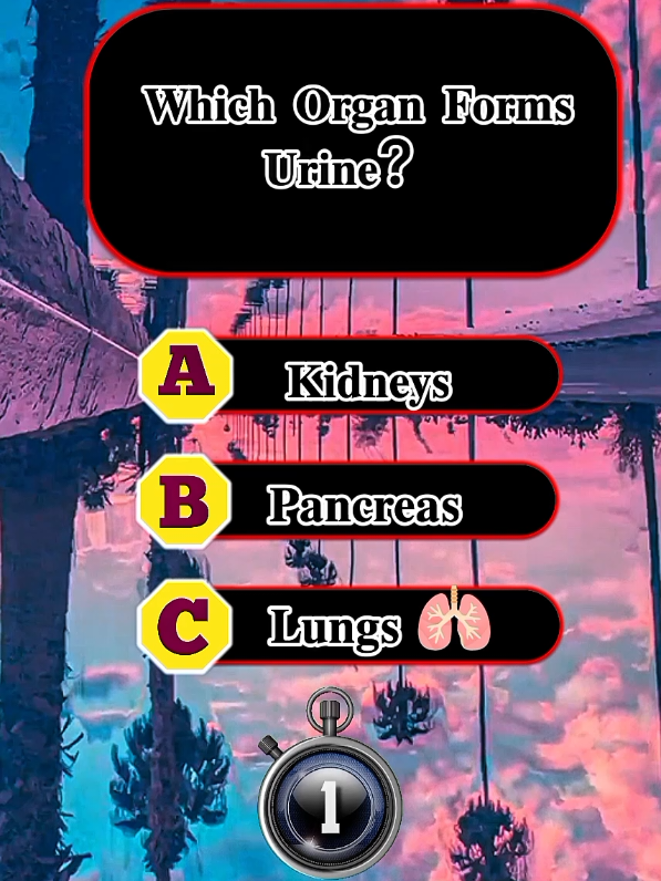 Human Anatomy Quiz | Part 01 - Can you get 4/4? #humanbody #greysanatomy #quiz #quiztime  #fyp 