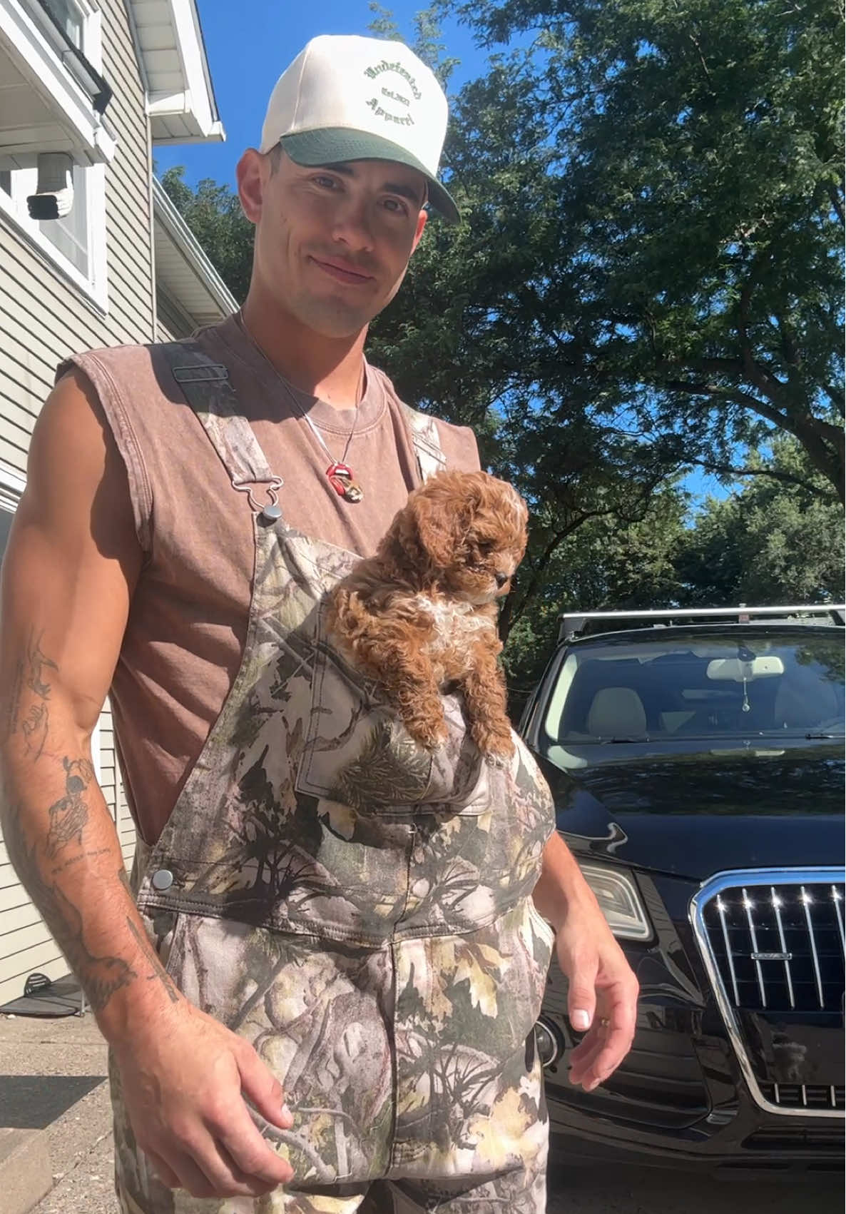 This is Mylo and he is sassy and loves naps 💕 new addition to the Whitney family! #puppylove #puppytiktok #dogsoftiktok #mylo 