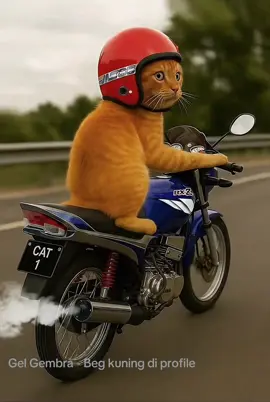 Oyen fly RX-Z #oyen #rxz #rxz_members_official #rxzmember #rxzmalaysia 