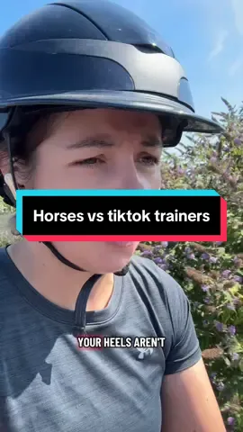 Maybe I’m missing something but sometimes it isn’t the riders fault… also no horses don’t have the emotional capacity to ‘try it on’ but they are smart enough to figure out the easiest way out of work.  #e#equestrianhunterjumper  #h#horseridingh#horseridershowjumper