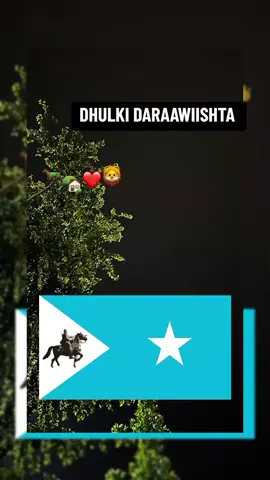 DHULKI DARAAWIISHTA #💙🐎💚❤️👑 #💙🐎💚❤️👑 ##💙🐎💚❤️👑 