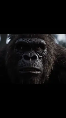 For every man who ever asked God ‘Why me?’ — this one’s for you.💔🔥 #motivation #motivational #fyp #bigfoot #depression 